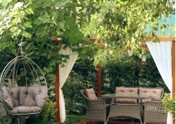 Sapanca Çamlık Bungalov Sapanca Çamlık Bungalov