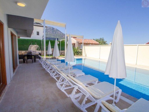 Villa Star Villa Star